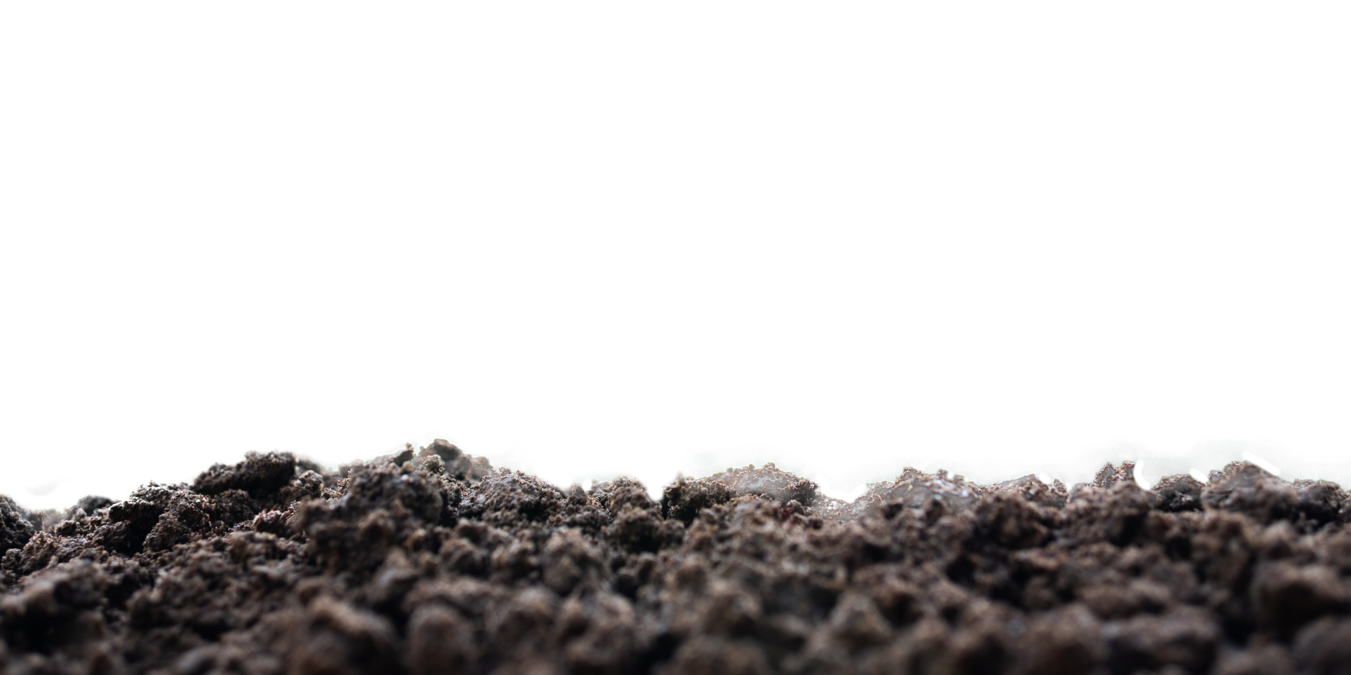 iStock-2223006532